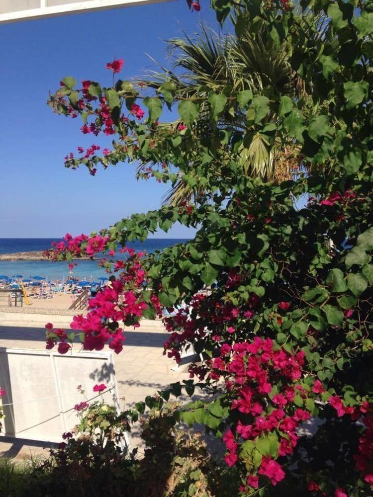 Blue Peter Apartments Protaras Bagian luar foto
